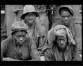boer war 1604Boer Military A4 Photo Print