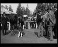 boer war 1615Boer Military A4 Photo Print