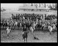 boer war 1622Boer Military A4 Photo Print