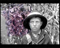 boer war 1671Boer Military A4 Photo Print