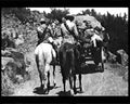 boer war 1673Boer Military A4 Photo Print