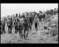 boer war 1674Boer Military A4 Photo Print