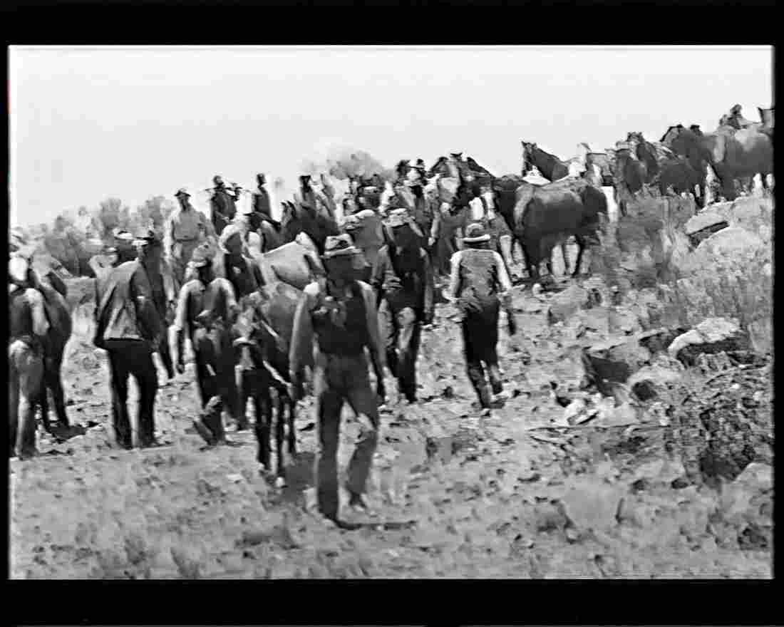 boer war 1674Boer Military A4 Photo Print