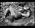 boer war 1677Boer Military A4 Photo Print