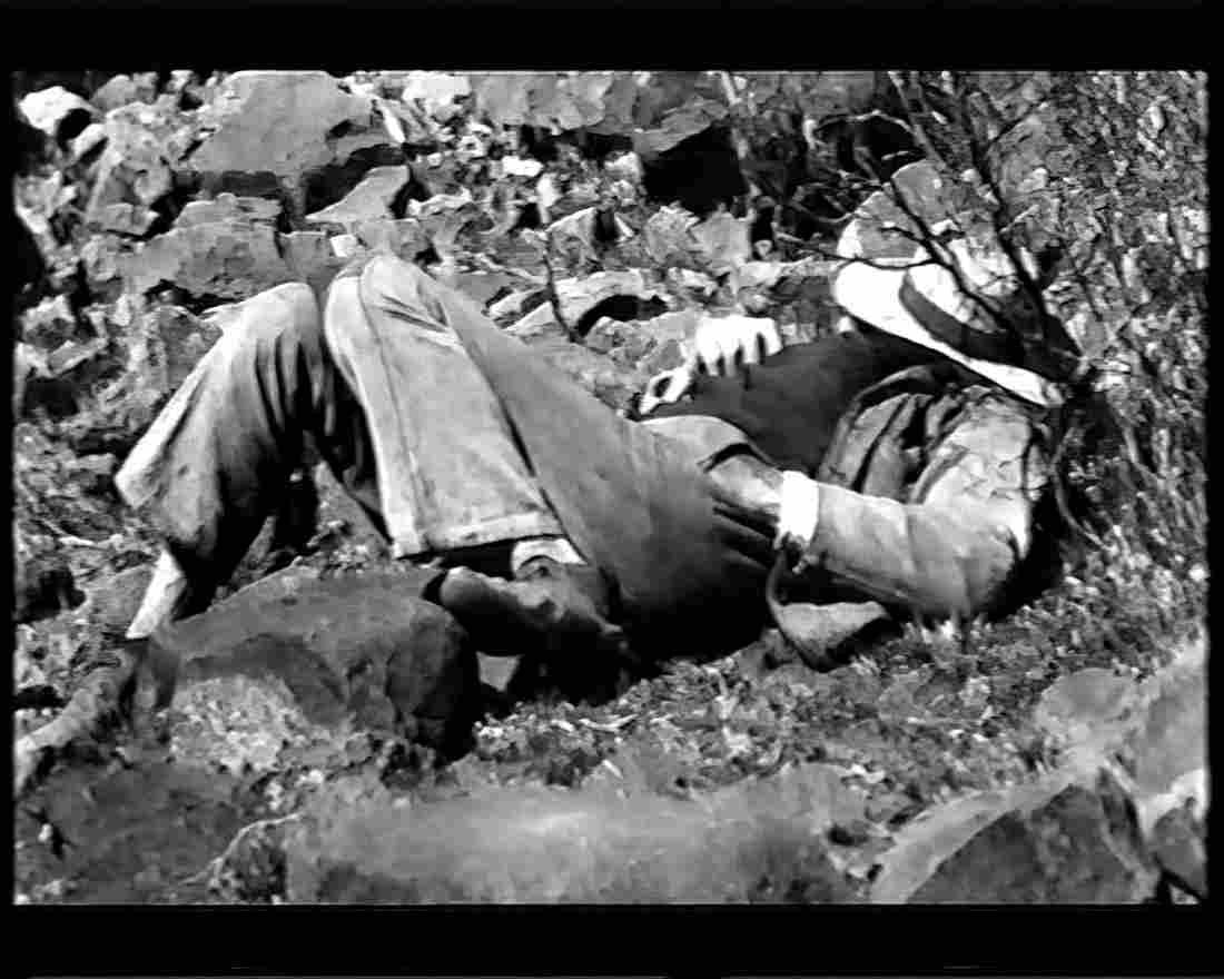 boer war 1677Boer Military A4 Photo Print
