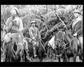 boer war 1682Boer Military A4 Photo Print