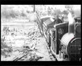 boer war 1688Boer Military A4 Photo Print