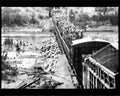 boer war 1689Boer Military A4 Photo Print