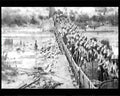 boer war 1690Boer Military A4 Photo Print