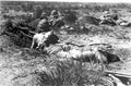 boer war 16Boer Military A4 Photo Print