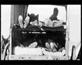 boer war 1708Boer Military A4 Photo Print