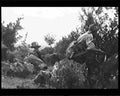 boer war 1750Boer Military A4 Photo Print