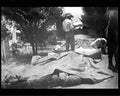 boer war 1766Boer Military A4 Photo Print
