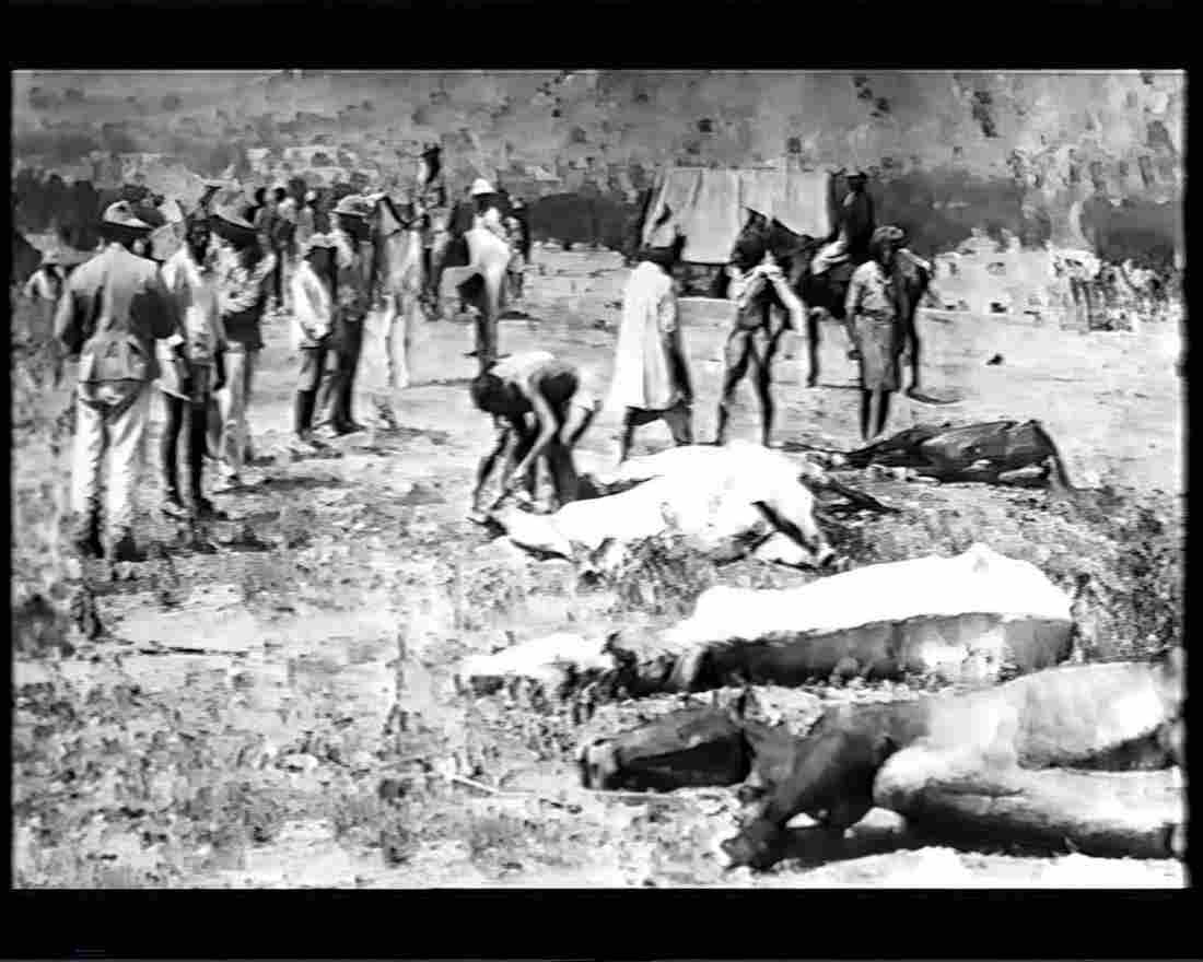 boer war 1794Boer Military A4 Photo Print