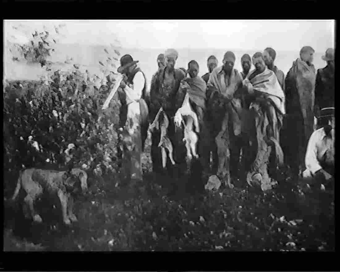 boer war 1803Boer Military A4 Photo Print