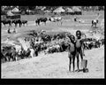 boer war 1811Boer Military A4 Photo Print