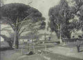 boer war 1855Boer Military A4 Photo Print