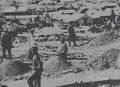 boer war 1881Boer Military A4 Photo Print