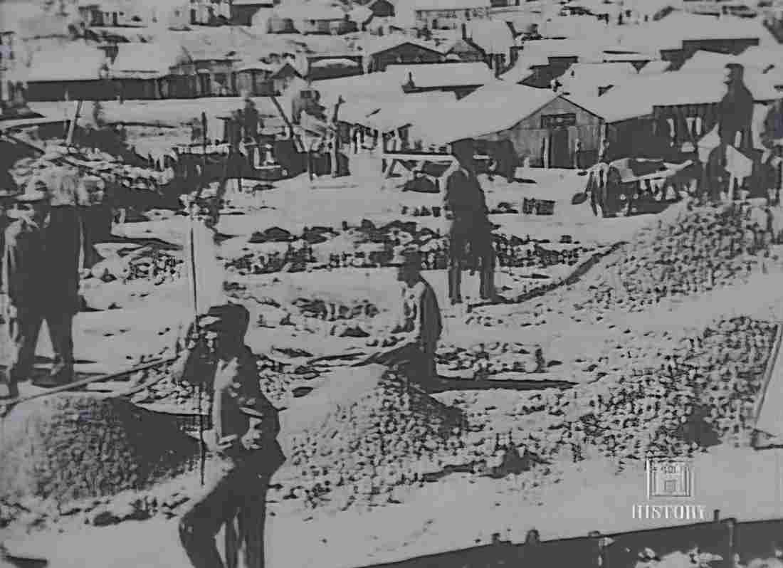 boer war 1881Boer Military A4 Photo Print