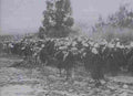 boer war 1943Boer Military A4 Photo Print