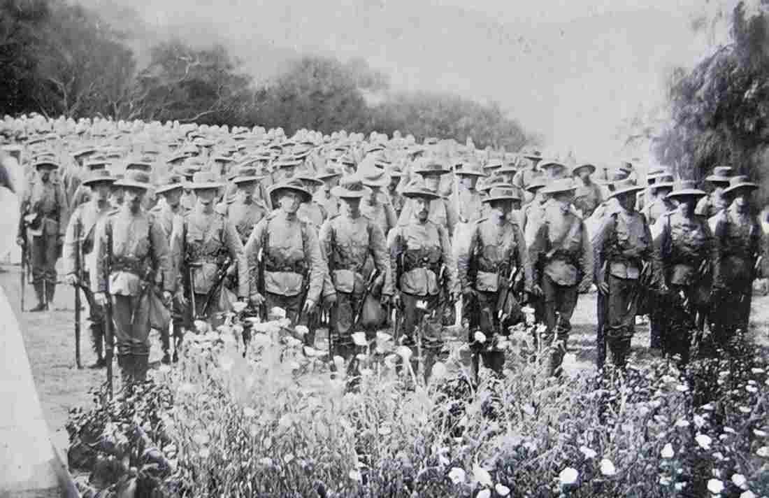 boer war 195Boer Military A4 Photo Print