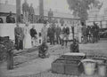 boer war 1965Boer Military A4 Photo Print