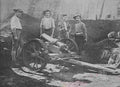 boer war 1978Boer Military A4 Photo Print