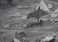 boer war 2006Boer Military A4 Photo Print