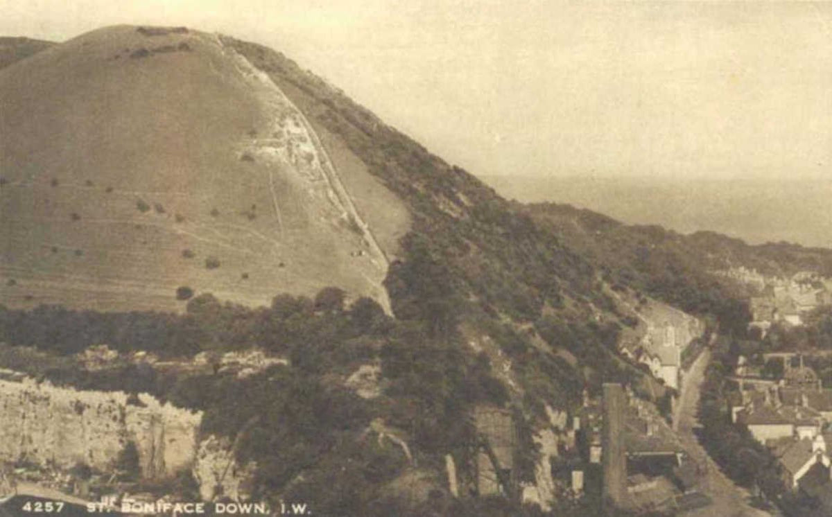 boncombe down hillsideVintage 1880s 1900s A4 Photo Print