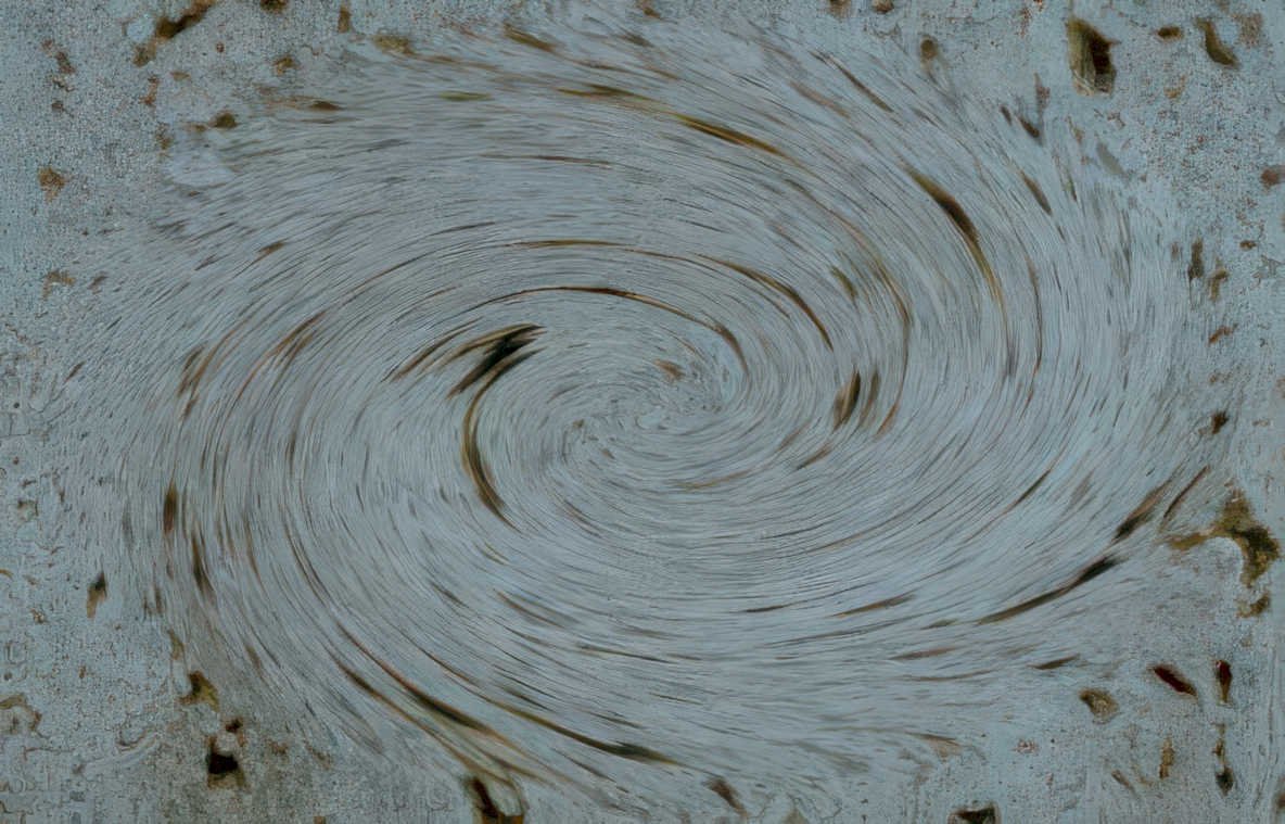 bone trabecula spiral Vintage A4 Photo Print