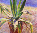 borisov musatov agave Art A4 Photo Print