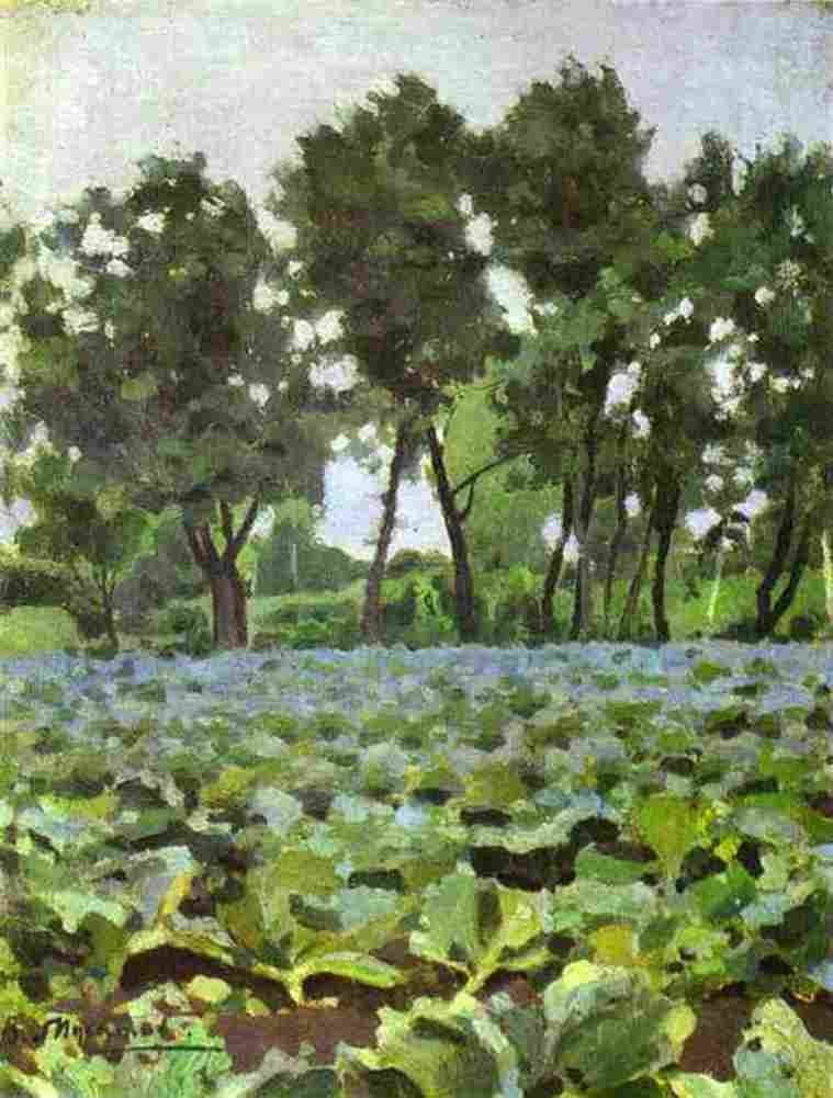 borisov musatov cabbage field Art A4 Photo Print