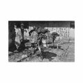 bosnia bosnian pack animals albert thier year 1909 Vintage A4 Photo Print