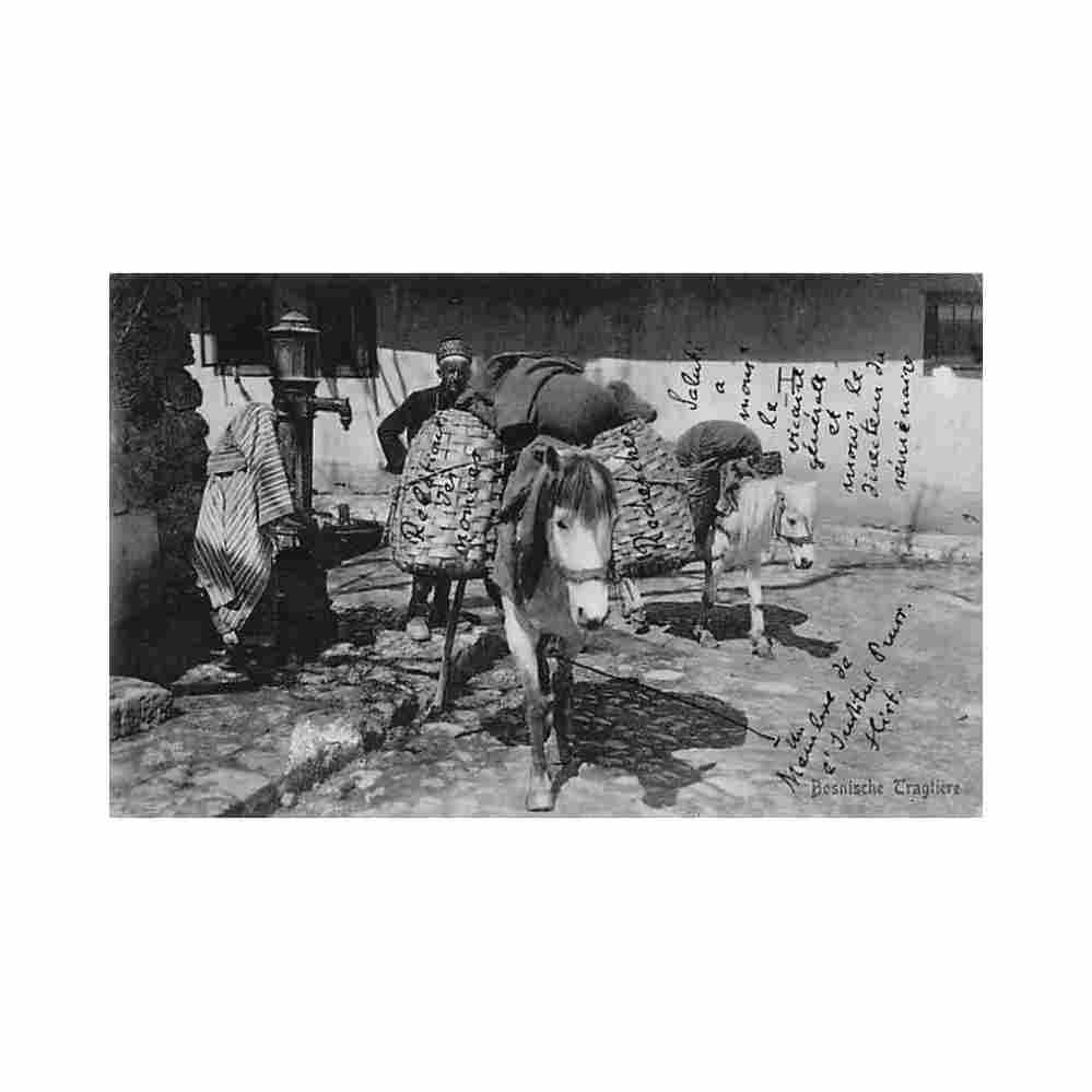 bosnia bosnian pack animals albert thier year 1909 Vintage A4 Photo Print