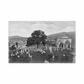 bosnia sarajevo the old turkish cemetery stengel co 5116 Vintage A4 Photo Print