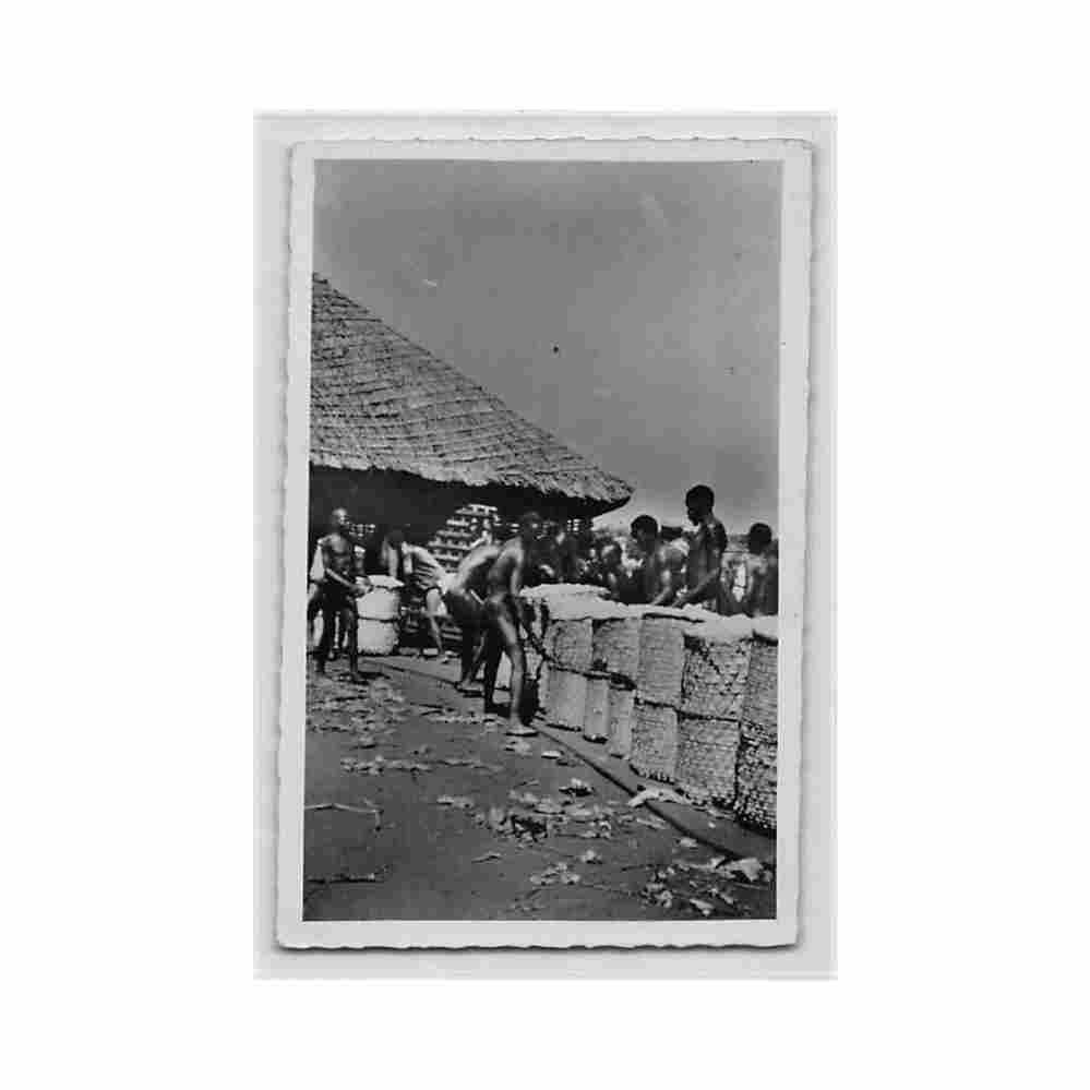 bouar cotton harvest m balard 662 centrafrique bouar recolte du coton ed m bal Vintage A4 Photo Print