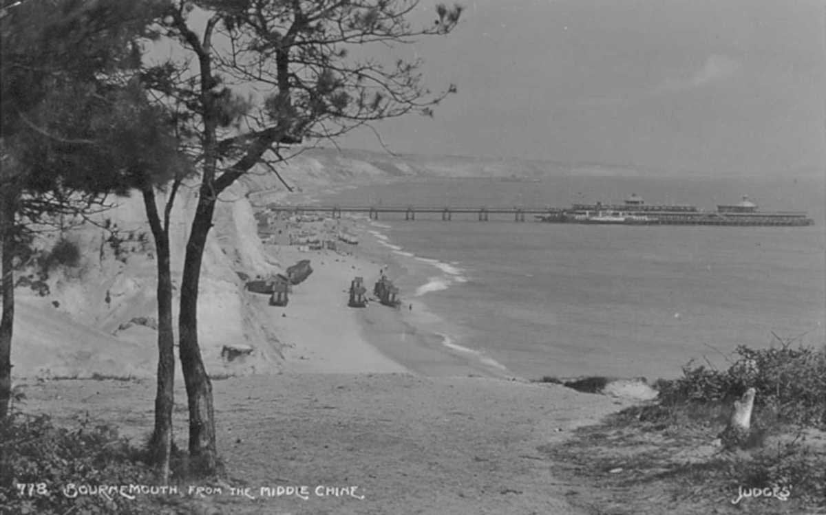 bournemouth chinee pineVintage 1880s 1900s A4 Photo Print