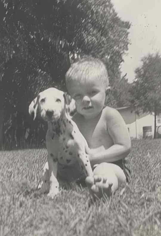 boy dalmatian grass Vintage world war A4 Photo Print