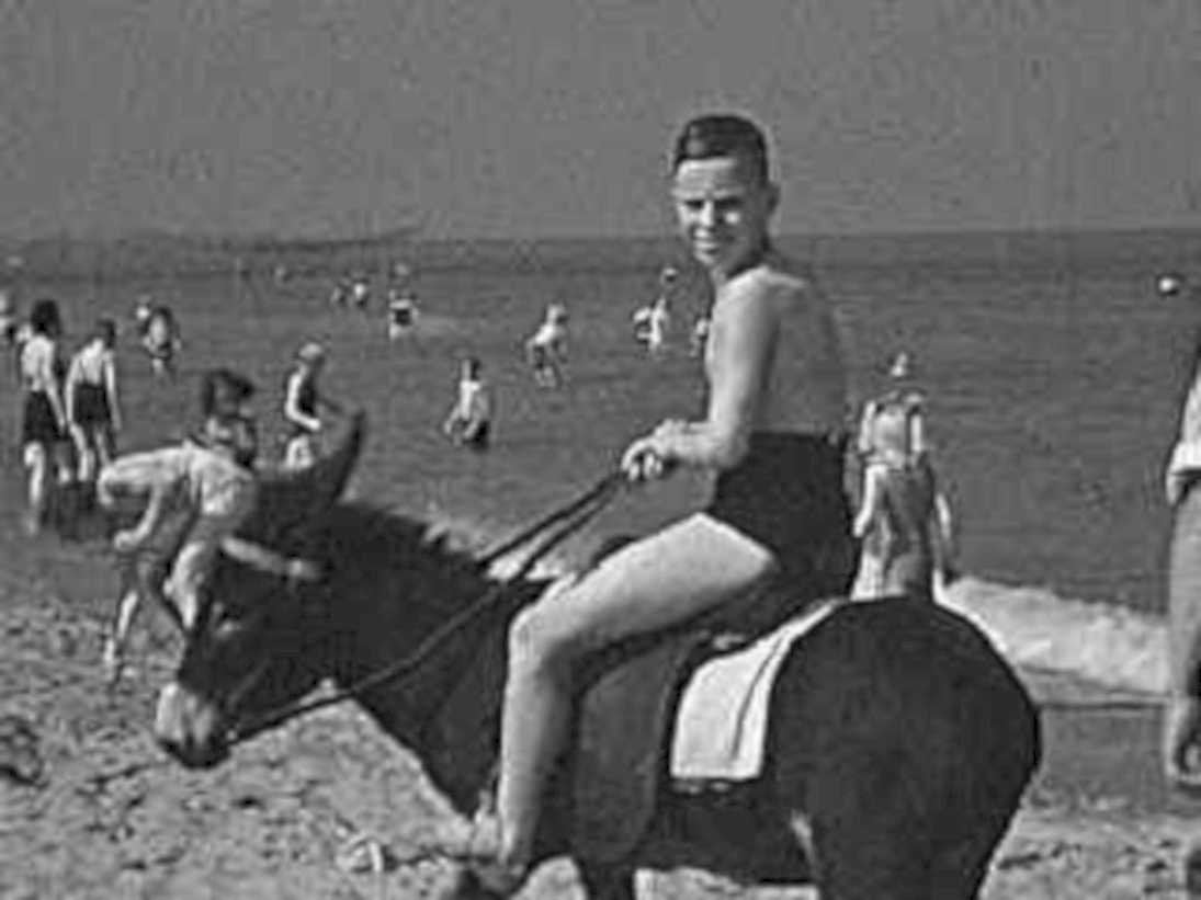 boy donkey beach1980s 1990s A4 Photo Print