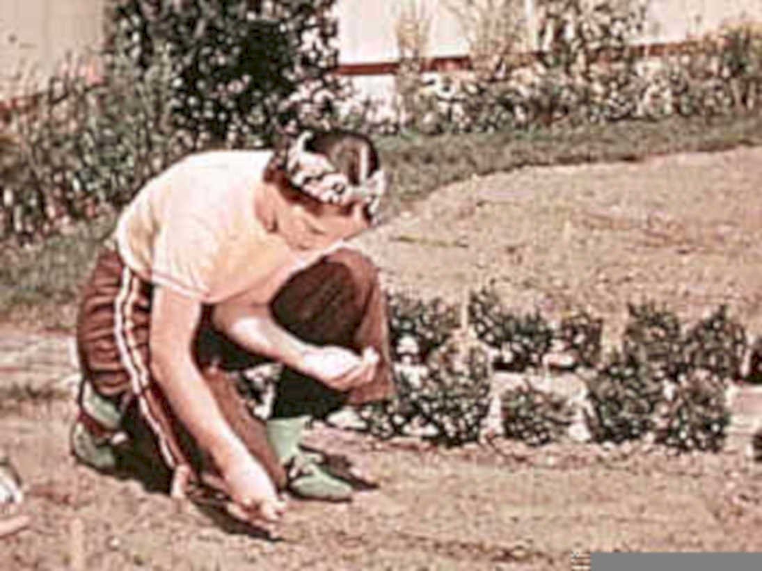 boy gardening trowel1980s 1990s A4 Photo Print