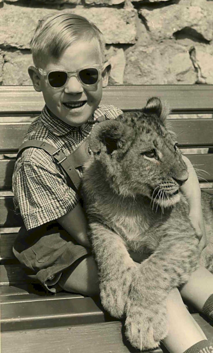 boy lion bench Vintage world war A4 Photo Print