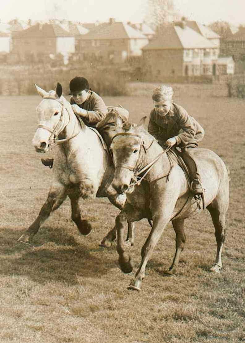 boys horses field Vintage world war A4 Photo Print