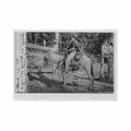 brasil brazil caboclo ed laemmert e co Vintage A4 Photo Print