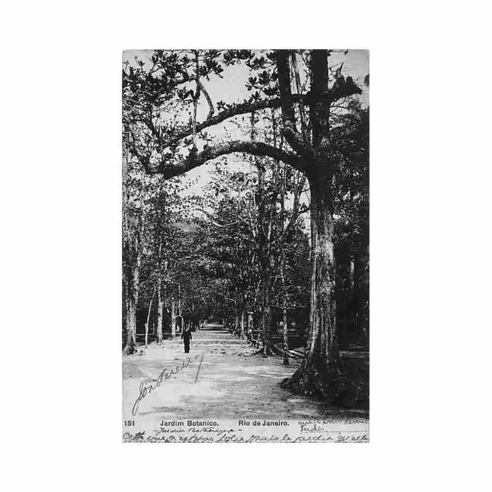 brasil brazil rio de janeiro jardim botanico ed a ribeiro 151 Vintage A4 Photo Print