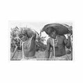brasil ilha do bananas indios carajas volta da pesca de tartarugas ed fot Vintage A4 Photo Print