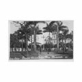 brasil santos praca barao do rio branco ed wessel 52 Vintage A4 Photo Print