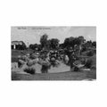 brazil sao paulo jardim da praca da republica ed desconhecido 7 Vintage A4 Photo Print
