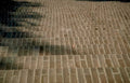 brick paver pathway Vintage A4 Photo Print