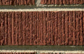 brick wall damage Vintage A4 Photo Print