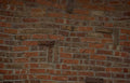 brick wall detail 1 Vintage A4 Photo Print